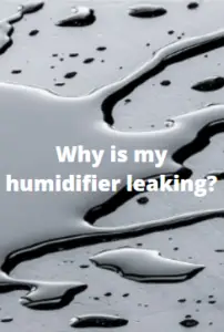 Why is my humidifier leaking from the bottom?