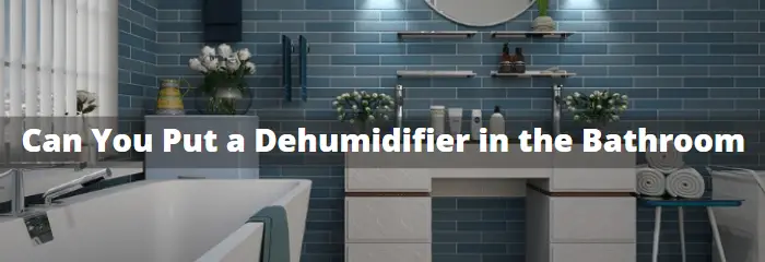 Can You Put a Dehumidifier in the Bathroom