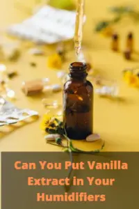 Can I Put Vanilla Extract in My Humidifier