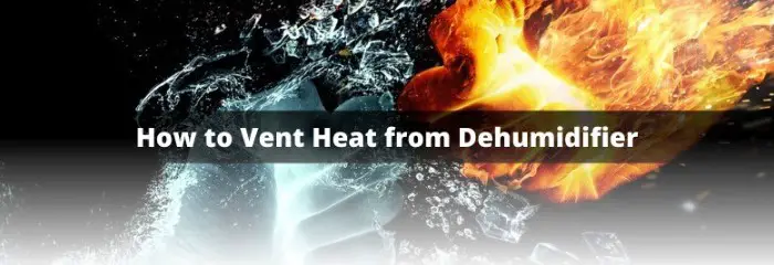 How to Vent Heat from Dehumidifier - Humidifier Experts