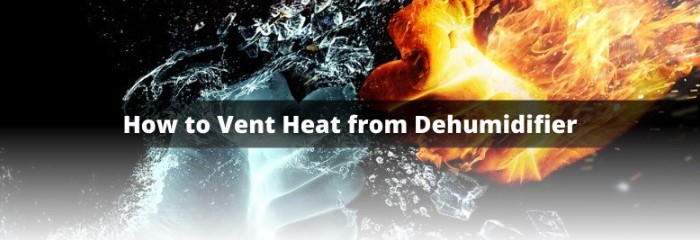 How to Vent Heat from Dehumidifier - Humidifier Experts