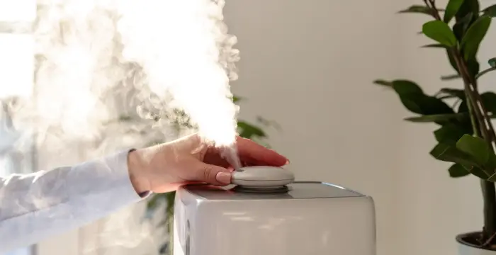 Should I Turn Off My Humidifier In Summer