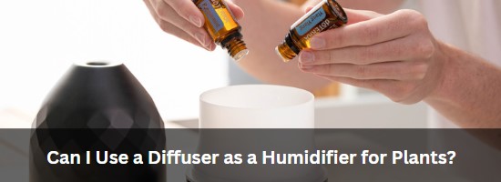 Can I Use a Diffuser as a Humidifier for Plants