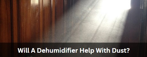 Will A Dehumidifier Help With Dust?