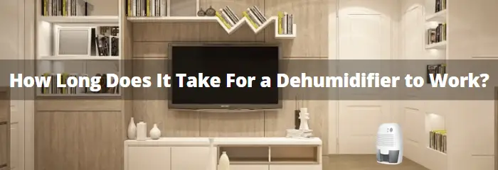 How Long Does It Take For a Dehumidifier to Work?