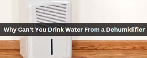 Why Can't You Drink Water From a Dehumidifier
