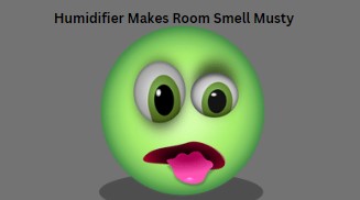 Humidifier Makes Room Smell Musty