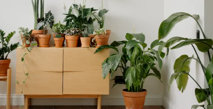 9 Gorgeous Small Balcony Ideas for Urban Dwellers Who Love Greenery